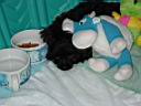 DSC01883.JPG