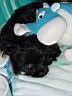 DSC01884.JPG