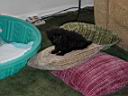 DSC01885.JPG