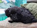 DSC01887.JPG