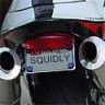 squidly.jpg