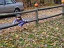 DSC01447.JPG