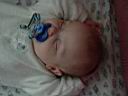 DSC00906.JPG