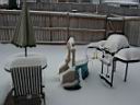 DSC01604.JPG