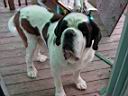 DSC01652.JPG
