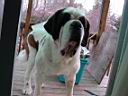 DSC01653.JPG