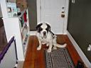 DSC01655.JPG
