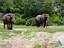 DSC01832.JPG