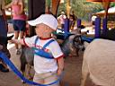 DSC01837.JPG