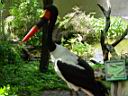 DSC01839.JPG