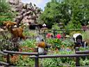 DSC02167.JPG