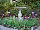 DSC02706.JPG