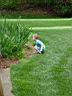 DSC02727.JPG