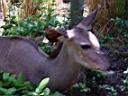 DSC02755.JPG