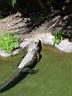 DSC02761.JPG