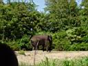 DSC02764.JPG