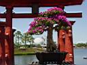 DSC02798.JPG