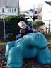 DSC02955.JPG