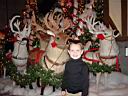 DSC02995.JPG
