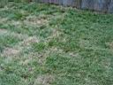 DSC01165.JPG