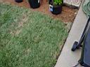DSC01166.JPG