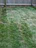 DSC01167.JPG