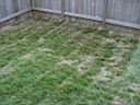 DSC01168.JPG