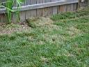 DSC01169.JPG